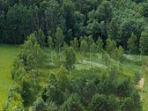 Parduodami 7 išskirtiniai namų valdos sklypai - nuotraukos Nr. 2