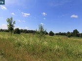 Parduodami sklypai su Kadrėnų (Mūšos) - nuotraukos Nr. 15