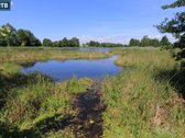 Parduodami sklypai su Kadrėnų (Mūšos) - nuotraukos Nr. 17