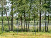 Parduodamas 6 Kambarių Namas, Kuriame Gamta - nuotraukos Nr. 6