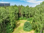 Sengirės Ir Ąžuolų Apsuptyje Prie Neries – - nuotraukos Nr. 7