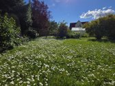 Jau siuloma kaina 300tuks, laukiame kas - nuotraukos Nr. 49