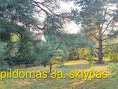 Parduodamas Klasikinis Vienbutis Namas - nuotraukos Nr. 26