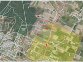 Parduodama 34 arų miško dalis iš 5,5 ha - nuotraukos Nr. 3