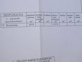 Parduodami 2 Namų Valdos Sklypai - nuotraukos Nr. 4