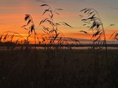 Madžiūnų km. Paluknio sen., Trakų raj.