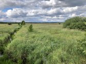 Madžiūnų km. Paluknio sen., Trakų raj. - nuotraukos Nr. 8