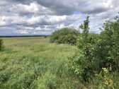 Madžiūnų km. Paluknio sen., Trakų raj. - nuotraukos Nr. 6
