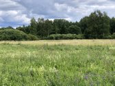 Madžiūnų km. Paluknio sen., Trakų raj. - nuotraukos Nr. 4