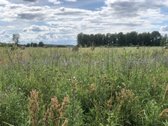 Madžiūnų km. Paluknio sen., Trakų raj. - nuotraukos Nr. 13