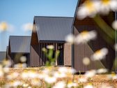 Pilialaukio šilas – tai miško kaimynystėje - nuotraukos Nr. 20