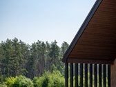 Pilialaukio šilas – tai miško kaimynystėje - nuotraukos Nr. 13