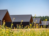 Pilialaukio šilas – tai miško kaimynystėje - nuotraukos Nr. 18