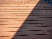 Pilialaukio šilas – tai miško kaimynystėje - nuotraukos Nr. 11