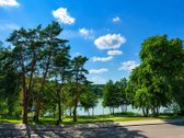 Pačioje Druskininkų širdyje, 16 arų sklype, - nuotraukos Nr. 6