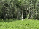 Parduodamas Namų Valdos Sklypas Su Ūkiniu - nuotraukos Nr. 6