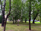 Kaune, Dainavoje, Partizanų gatvėje - nuotraukos Nr. 16