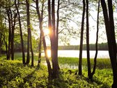 Du sklypai pušyne: 67 arų ir 65 arų, keli - nuotraukos Nr. 6
