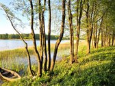 Du sklypai pušyne: 67 arų ir 65 arų, keli - nuotraukos Nr. 7
