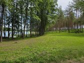 Du sklypai pušyne: 67 arų ir 65 arų, keli - nuotraukos Nr. 4