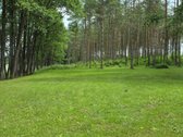 Du sklypai pušyne: 67 arų ir 65 arų, keli - nuotraukos Nr. 5