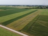 Parduodamas 1,0013 Ha Žemės Ūkio Paskirties - nuotraukos Nr. 3