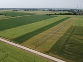 Parduodamas 1,0013 Ha Žemės Ūkio Paskirties - nuotraukos Nr. 6