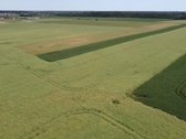 Parduodamas 1,0013 Ha Žemės Ūkio Paskirties - nuotraukos Nr. 7