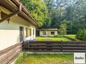  – Nt ekspertai be procentų - nuotraukos Nr. 41