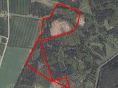 Parduodami du miškai 21,73 ha Šilų kaime