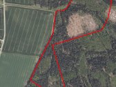 Parduodami du miškai 21,73 ha Šilų kaime - nuotraukos Nr. 2