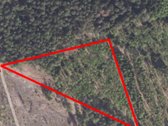 Parduodami du miškai 21,73 ha Šilų kaime - nuotraukos Nr. 3