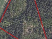 Parduodami du miškai 21,73 ha Šilų kaime - nuotraukos Nr. 4