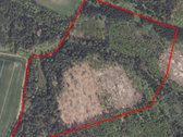 Parduodami du miškai 21,73 ha Šilų kaime - nuotraukos Nr. 5
