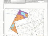 Parduodami du miškai 21,73 ha Šilų kaime - nuotraukos Nr. 7
