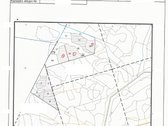 Parduodami du miškai 21,73 ha Šilų kaime - nuotraukos Nr. 8