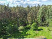 Vingiuotas pušyno keliukas veda į - nuotraukos Nr. 6