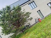 Šskirtinis A+ klasės namas Palangoje – erdvė, - nuotraukos Nr. 26