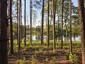 Parduodamas 1,32 ha sklypų kompleksas prie - nuotraukos Nr. 5
