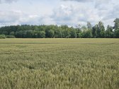 Parduodamas žemės ūkio paskirties sklypas 6 - nuotraukos Nr. 2