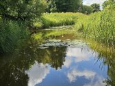 Parduodamas žemės ūkio paskirties sklypas 6