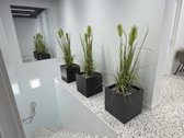 Nuomojami 2 kabinetai „Esa Medica“ estetikos - nuotraukos Nr. 3