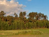 Šalia Trakų miesto, labai gražioje, ramioje