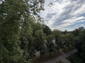Tarpininkai/brokeriai nedomina! - nuotraukos Nr. 17