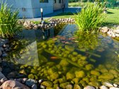 Parduodamas išskirtinis A++ klasės vieno - nuotraukos Nr. 7