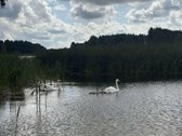Parduodamas visas 6 sklypų kvartalas su - nuotraukos Nr. 15