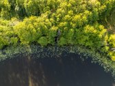 Merkinės sen. Papiškių k.du sklypai vienas - nuotraukos Nr. 32