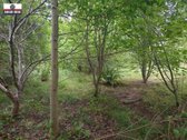 Parduodamas labai pigiai geroje vietoje 5,5 a - nuotraukos Nr. 18