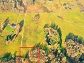 Parduodamas erdvus 80,5 arų žemės sklypas - nuotraukos Nr. 2