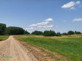 Parduodamas erdvus 80,5 arų žemės sklypas - nuotraukos Nr. 6